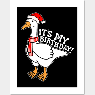 December Birthday Silly Goose Posters and Art